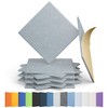 Amantech 12 Pack Acoustic Panels Self Adhesive Sound Proof Foam,