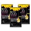 Garnier Olia 1.0 Black Permanent Hair Colour without Ammonia, with