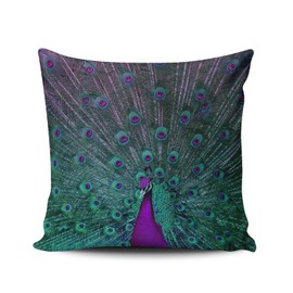 ONGING Decorative Throw Pillow Case Purple and Teal Blooming Peacock Pillowcase Cushion Cover Double Sided Design Printed Square Size 18 x 18 Inches