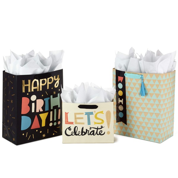 Hallmark Celebrate Gift Bags Assortment with Tissue Paper (Pack of 3: 2 Large 13" and 1 Medium 7" Gift Bags for Birthdays, Baby Showers and More)