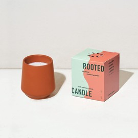 Modern Sprout Rooted Candle Grow Set, Indoor Herb Garden, Seed Starter Set, Organic, Non-GMO, Rosemary & Cucumber