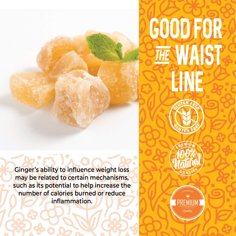 Herbaila Dried Crystallized Ginger Slices 16 oz. Unsulphured Dried Ginger