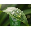 Skin Guard Pack 12 Piezas Gel 100% Aloe Vera 100