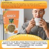 Arnica Herb Tea Bags, 2 Pack, 30+ Cups Each, 100%