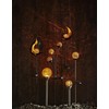 Copy of Star Trading Roma LED Solar Light, Silver/Amber