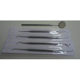 SS 1 Set Dental Pick & Mirror Tool Sculpture Instrument Oral Kit Tooth Teeth