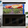 Reptile Habitat Background Rock Blue Sky Oasis Cactus Sunset Desert