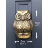 Baby Owl Door Knocker Antique Silver