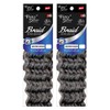 Foxy Silver (Foxy Braid - Water Wave - 24 Strands