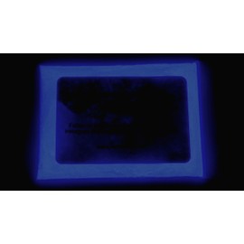 Glow in The Dark Pigment Powder - Neutral and Fluorescent Color for Art Painting, Fine Art, Nail Art Paint, and DIY Crafts - Long Lasting, 10+ Color Options - Neutral Dark Blue - (120 Grams)