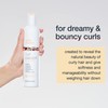milk_shake Curl Passion Conditioner, 10.1 Fl Oz