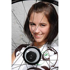 Nirosta 2212028401 Unisex Adult Bicycle Spoke Silver 2 x 284 mm