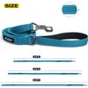 Fida 4 FT Heavy Duty Dog Leash with 2 Comfortable