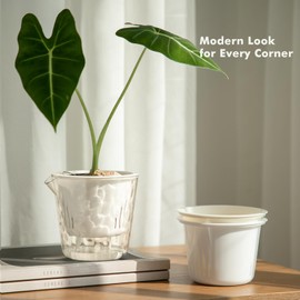 4 Inch Self Watering Plant Pots for Indoor Plants 10 Packs African Violet Pot, Self Watering Planters for Herb, Orchid, Devil's Ivy, Flower Houseplant Planters, Clear Plant Pots, Off White