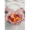 5th Season Freeze Dried Fruit Snacks -100% Mango & Raspberries,