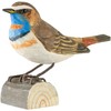 WILDLIFEGARDEN Wildlife Garden WG433 DecoBird Bluethroat - Hand Carved Decorative