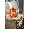 Petroleum Storm Lamp Feuerhand 276 Orange