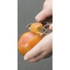 Lacor-60347-ST. STEEL TOMATO/DOUBLE PEELER