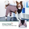 Kuoser Dog Recovery Suit, Anti Licking Dogs Rear Leg Sleeve,