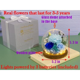 Valley of Rain & Forest Long-Lasting Real Flowers, Unique Floral Gift for You to Send Love for All Occasions, for Indoor Decoration (Light Blue Carnation, Blue Rose, Light Blue Rose)