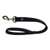 Hamilton Double Thick Nylon Dog Training Lead, 1" Wide by