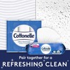 Cottonelle Flushable Wipes (504 Count)