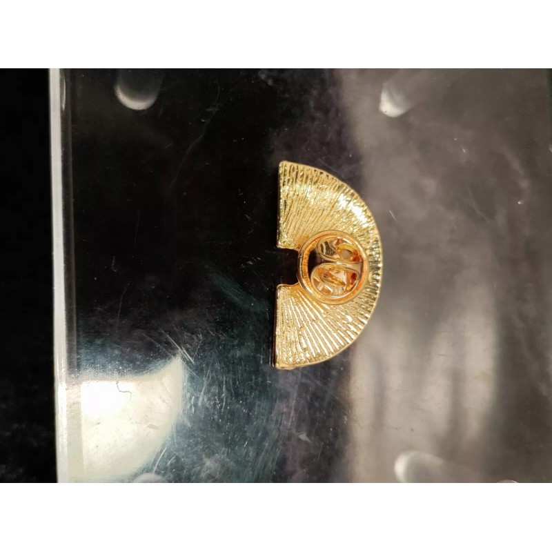 Unbranded Florida Rainbow Pin