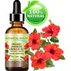 Organic HIBISCUS OIL (Hibiscus Sabdariffa) JAPANESE 100 Pure Natural VIRGIN