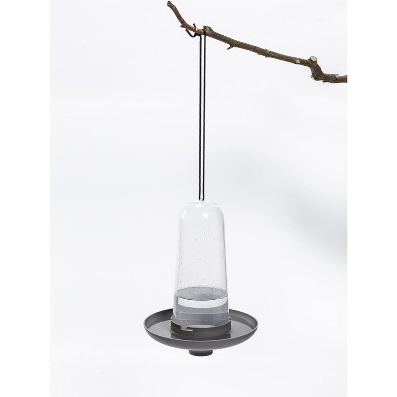 Robin 3-in-1 Bird Feeder and Bath - Anthracite