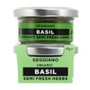 Seggiano Organic Semi Fresh Herbs - Basil