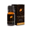 Elleebana Brow Henna Colour 10 g, Blonde, 10 g
