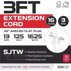 Iron Forge Tools 2 Pack of 3 Ft Outdoor Extension Cords with 45° Angled Flat Plug