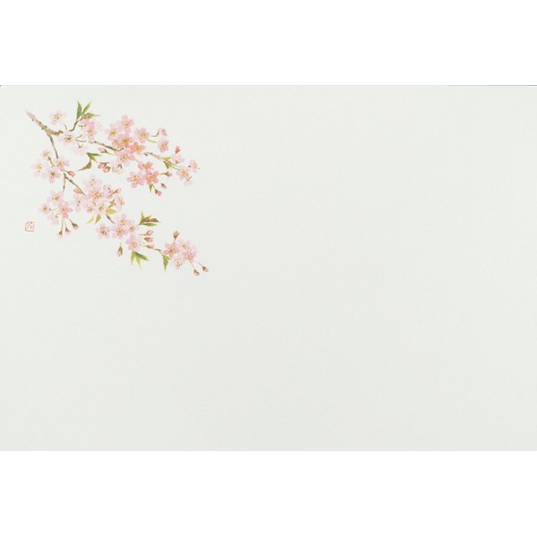 Daikoku Industry "Commercial Use" Table Mat, Cherry Blossoms, 100 Sheets (26 x 38 cm), High Quality Paper