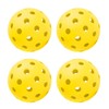 TZWAY Indoor and Outdoor Pickleball Balls - USAPA Approved -