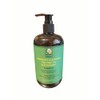 Hairobics Dandruff Cleansing Tea Tree Oil & Rosemary Shampoo that
