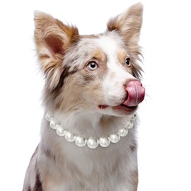 KUDES Exquisite and Adjustable Dog Necklace: Elegant Classic Pearl Collar Necklace Accessories for Dogs, Occasions and Gatherings (M(11.8-14.5 Inches))