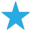 Cyan Star Magnet by Magnet America Is 4" x 4"