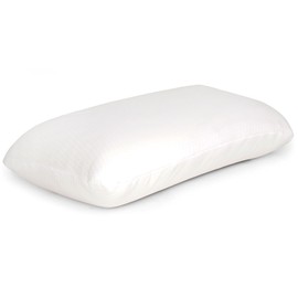Feel Like Home Sports Travel Pillow (25405SRK)