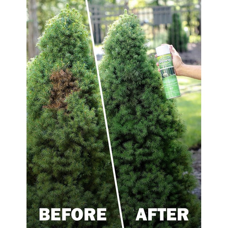 Seymour RENEW Grass and Shrub (Pristine). 1 - 17oz. Can.