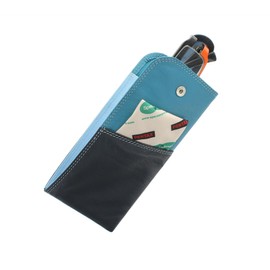 VISCONTI Rainbow Collection BELIZE Nappa Leather Glasses Case RB106