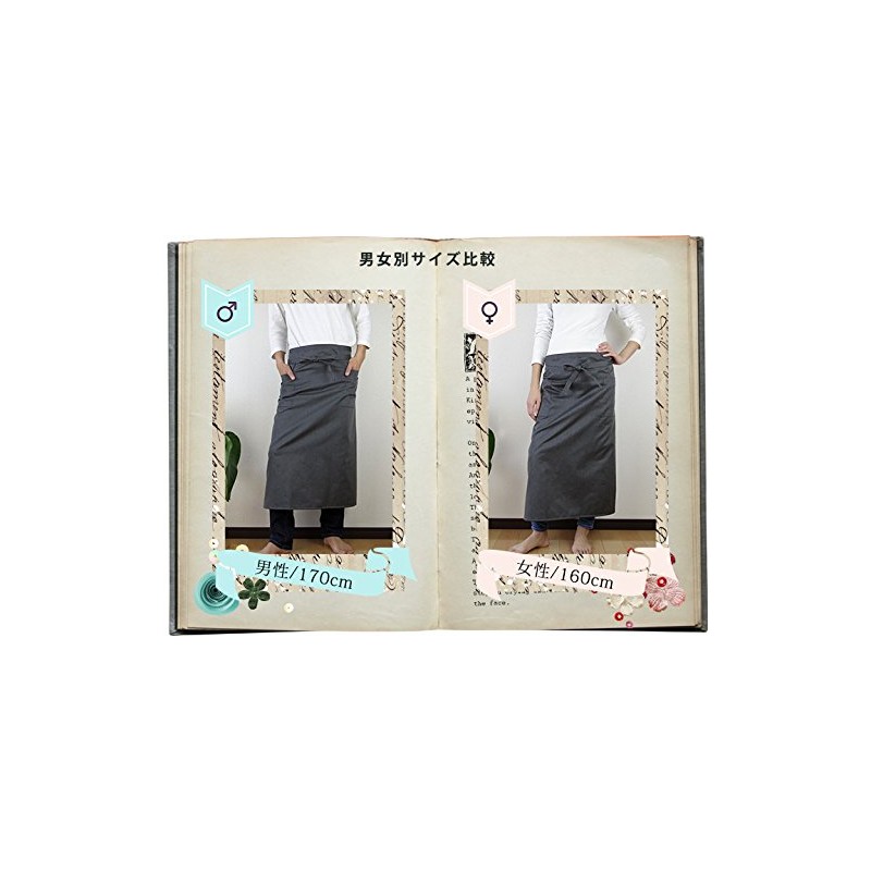 fabrizm Made in Japan gyaruson Apron T/C TWILL