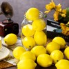 Cindeer Fake Lemons Fake Fruit Faux Yellow Lemon Decor Lifelike