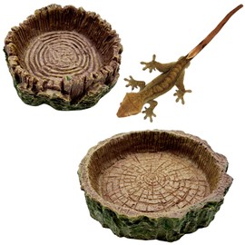 2 Pack Small Reptile Food Bowls, Reptile Feeding Terrarium Bowls for Bearded Dragon Lizard Frog Gecko Tortoise Hermit Crab Snail (Brown B)