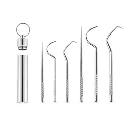 Kisstta 6 Piece Portable Toothpick Set, 304 Stainless Steel Toothpicks, Reusable Portable Toothpicks, Metal, Ideal for Travel, Camping, Picnic