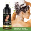 Shampoo Tinte Cubre Canas Negro Herbishh 500ml
