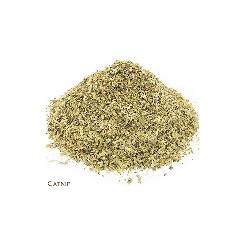 Catnip and Green Tea Herbal Infusion (Gyokuro - 25 Unbleached
