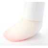 Wet N Wild Makeup Brush