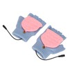 USB Heating Gloves Full Finger Half Fingerless Double Sided Heating