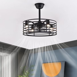 TFCFL Metal Caged Ceiling Fan with Lights, 20 Inch Industrial Low Profile Chandelier Fan with Remote Control 4-Light 3-Speed Timing for Indoor Bedroom Living Room (Black)