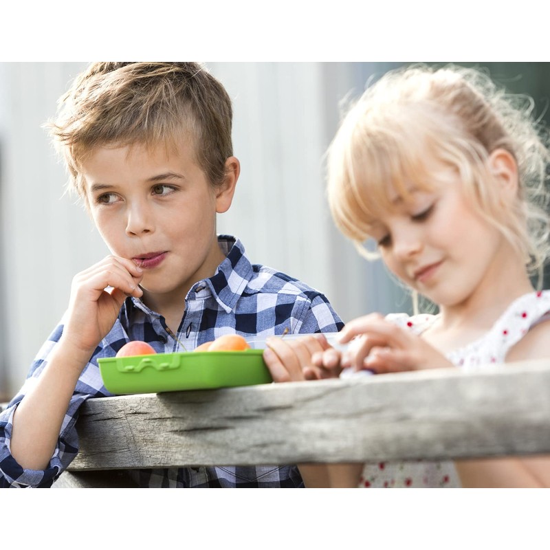 Emsa 513791 Variabolo Farm Family kids snack or lunch box